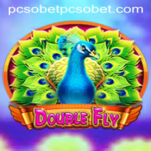 Exploring the Exciting World of DoubleFly: A Comprehensive Guide